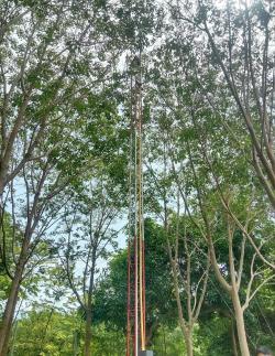 ภาพที่ 3 ติดตั้งเสา สามเหลี่ยมเหล็กถัก สูง 9 เมตร ให้กับ รีสอร์ท บนเกาะพะลวย อ.เกาะสมุย จ.สุราษฎร์ธานี สำหรับติดตั้ง หัวล่อฟ้า ป้องกันฟ้าผ่า